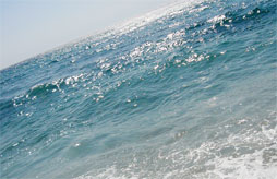 Camping Vendrell Platja