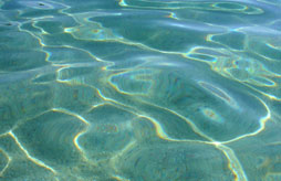 Camping Marina d'Erba Rossa Camping Marina d'Erba Rossa