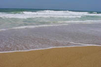 Camping L'Albizia Camping L'Albizia