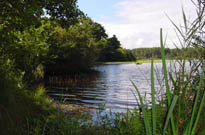 VVF Villages Le Moulin Neuf