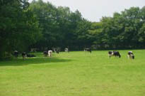 Village Club Bourgogne Auxois Morvan Village Club Bourgogne Auxois Morvan